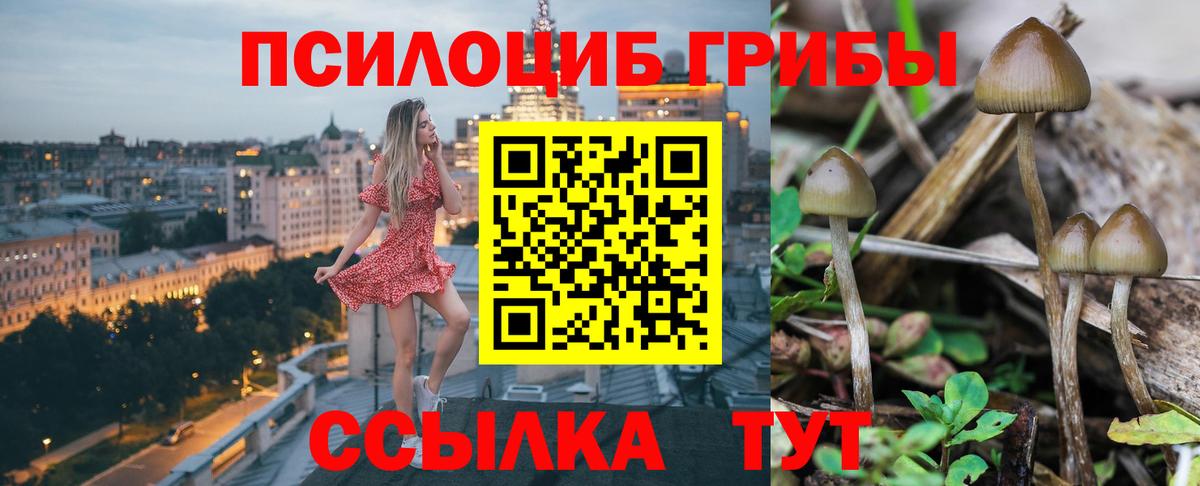 Касимов  цены   Вход с VPN  Галлюциногенные грибы Psilocybine cubensis 